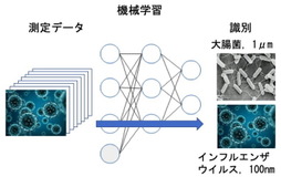 バイオセンサーの図