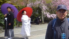 鎌倉の花嫁